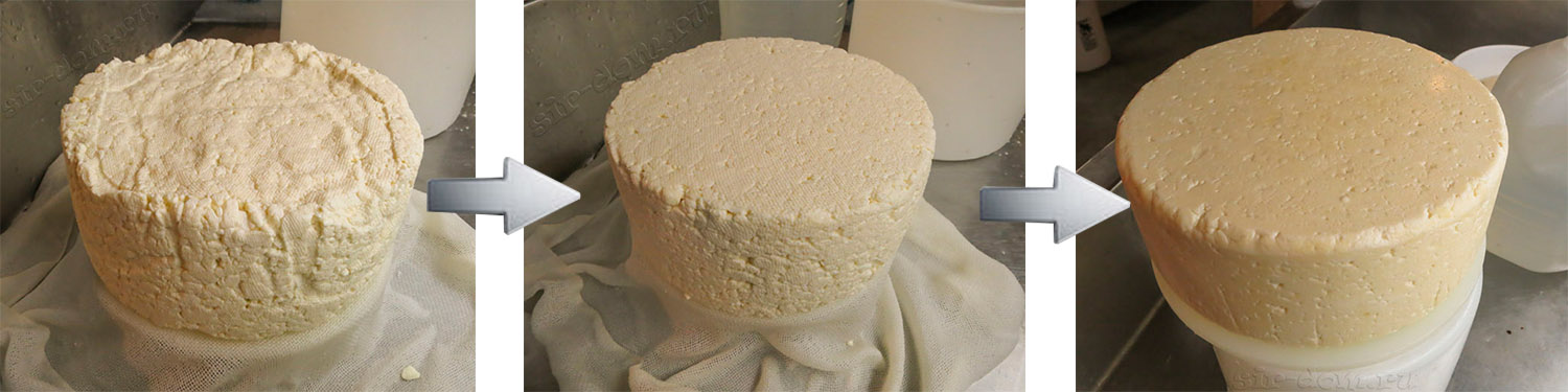 сыр Тильзитер с фото рецепт